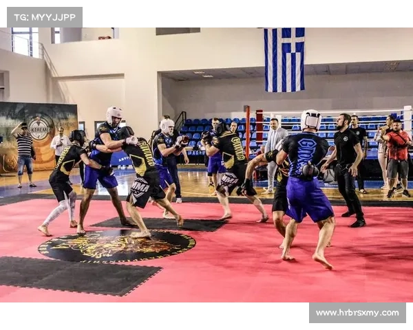 世界著名的搏击赛事(世界著名搏击术)